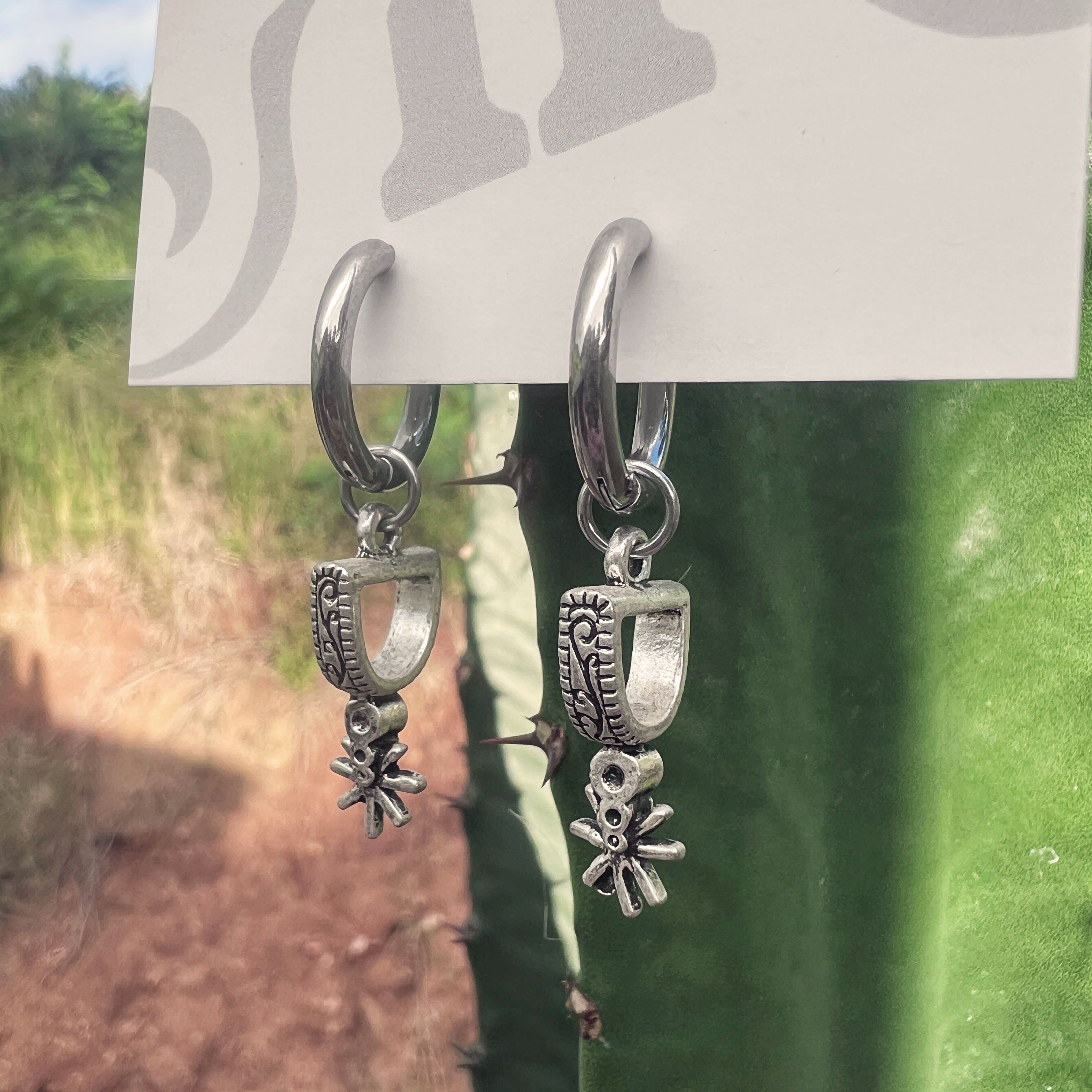 Earrings