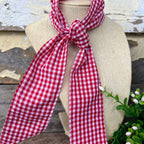 Neck Ties - Queen of Hearts/Red Gingham
