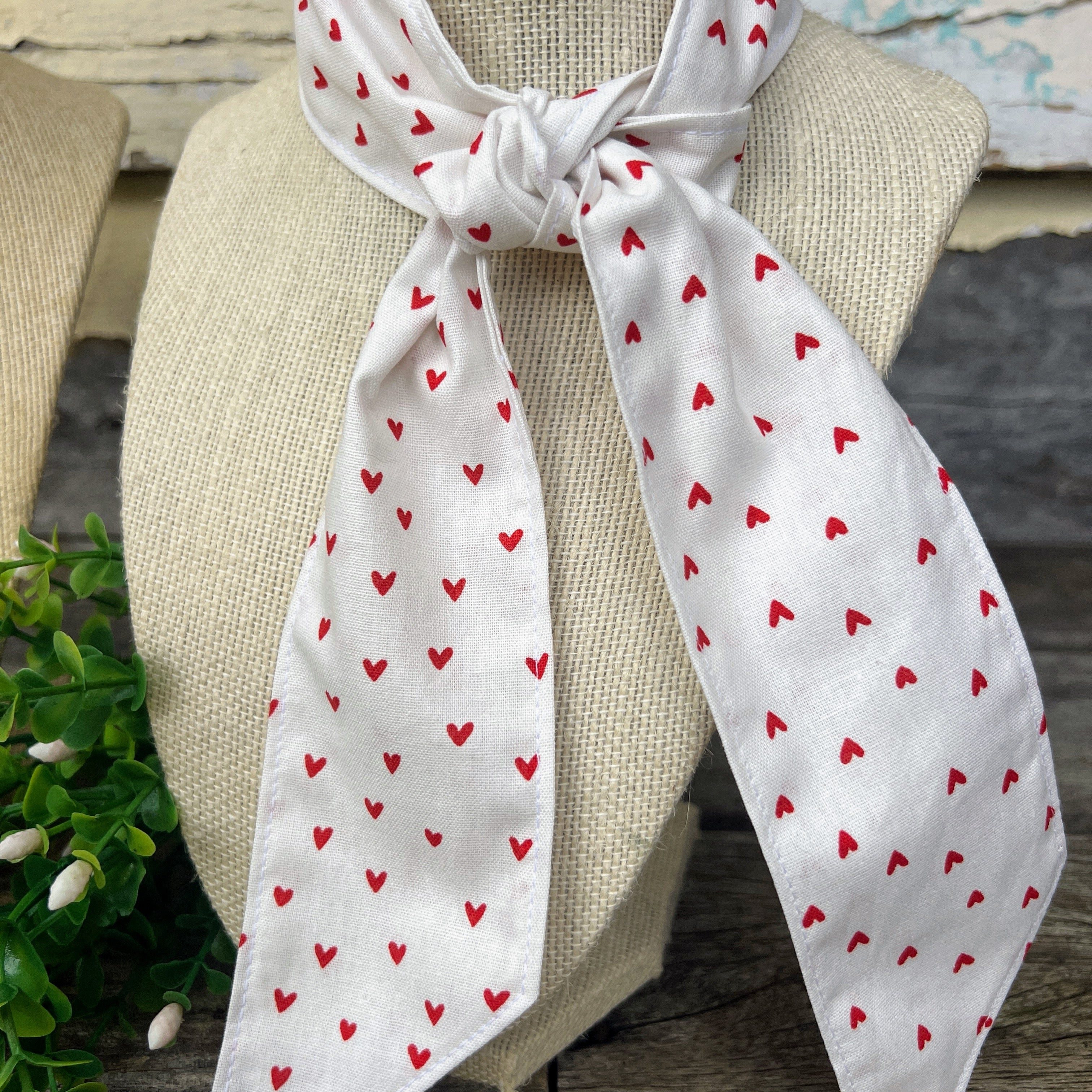 Neck Ties - Queen of Hearts/Red Gingham
