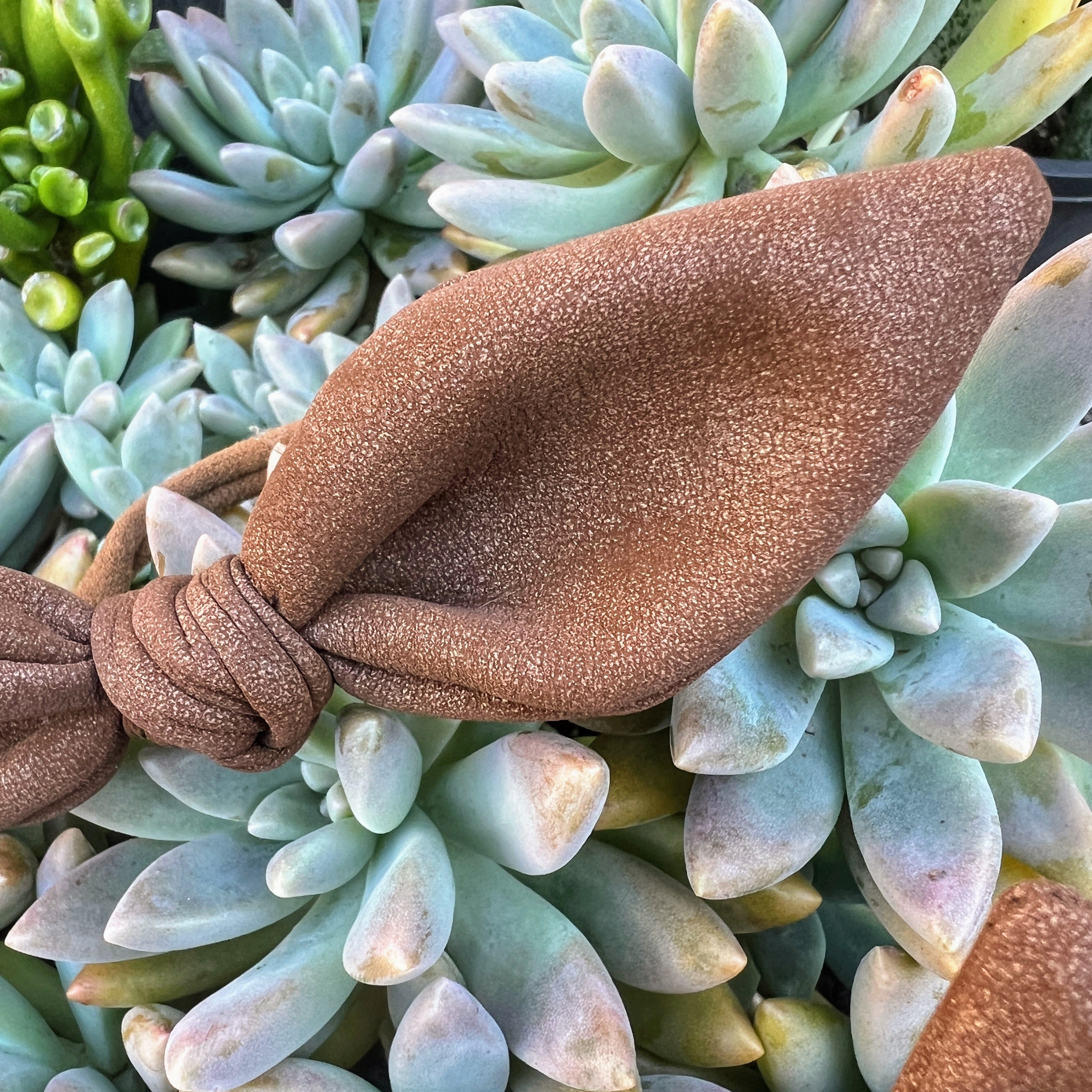 Luxe Hair Bows